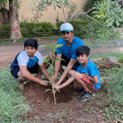 >A Path to a Greener World