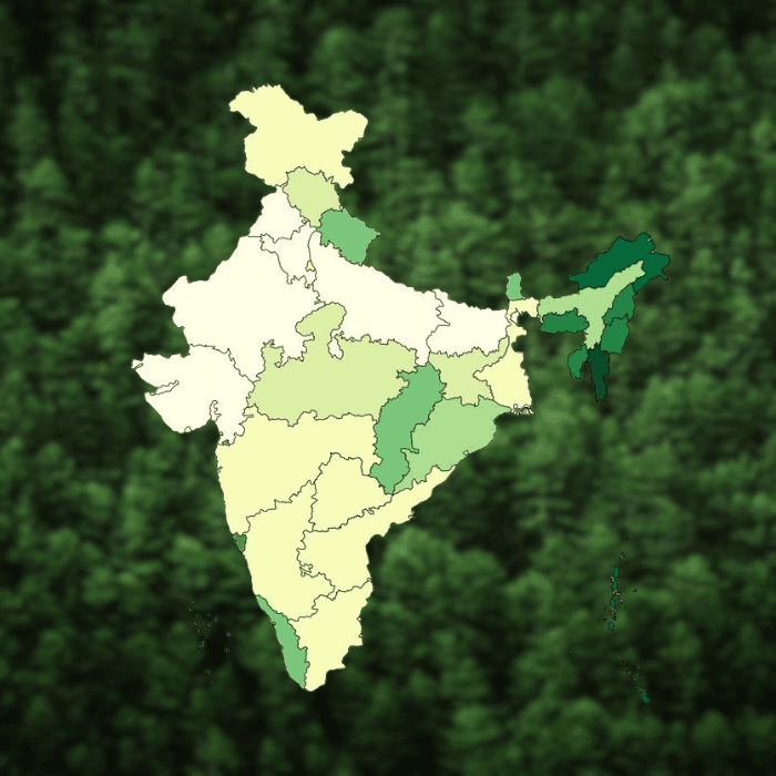 The Green India Challenge